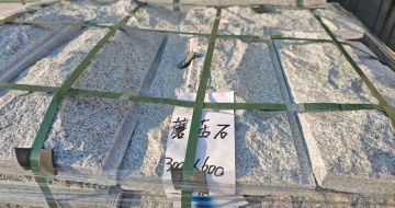 舟山芝麻白蘑菇石，自然面